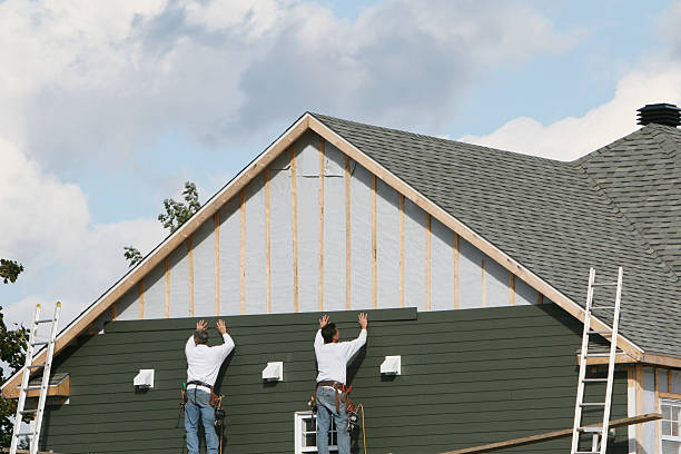 Best Weatherproofing and Sealing  in Waterloo, NE